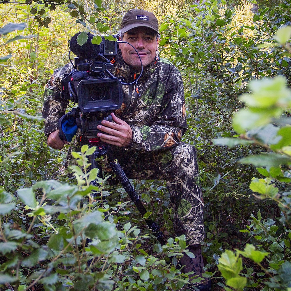 Conocé Betsson Group: Historia y Liderazgo en el Juego Online